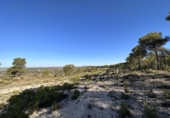Casa de pueblo en venta en Requena ref: TR381330 foto