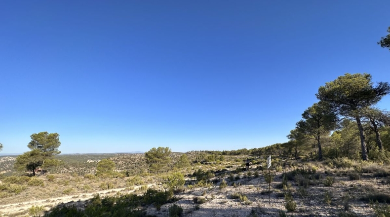 Valencia - Requena - 561m2