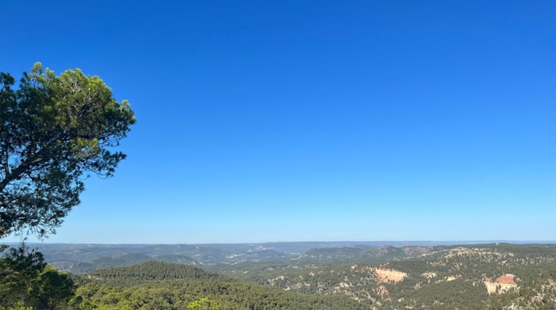 Valencia - Requena - 561m2