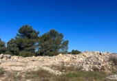 Casa de pueblo en venta en Requena ref: TR381330 foto