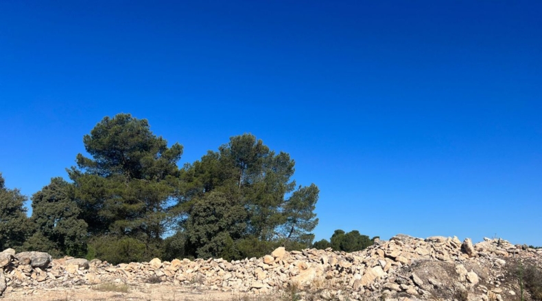 Valencia - Requena - 561m2