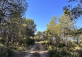 Casa de pueblo en venta en Requena ref: TR381330 foto