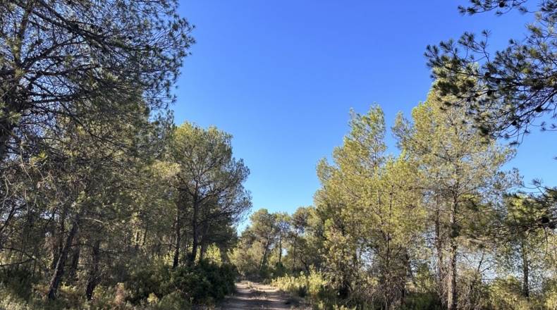 Valencia - Requena - 561m2