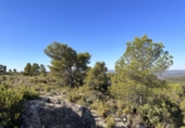 Casa de pueblo en venta en Requena ref: TR381330 foto