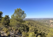 Casa de pueblo en venta en Requena ref: TR381330 foto