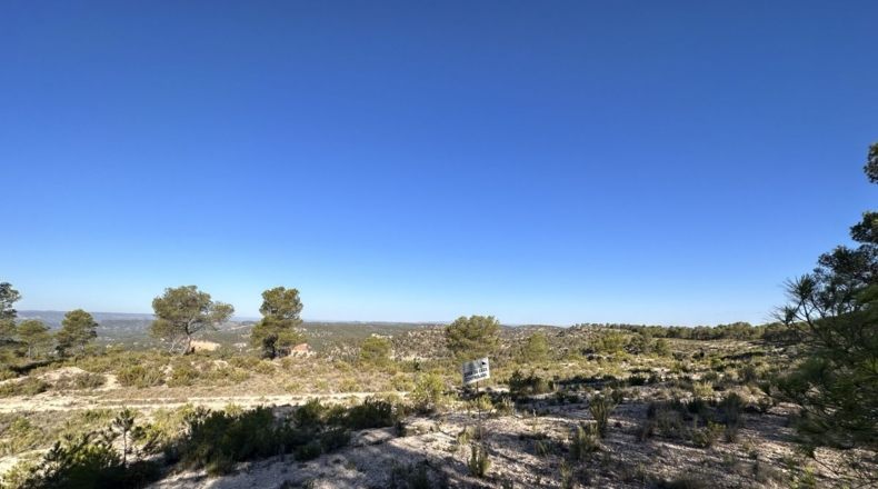 Valencia - Requena - 561m2