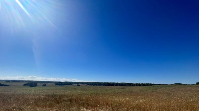 Valencia - Requena - 561m2