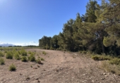 Casa de pueblo en venta en Requena ref: TR381330 foto