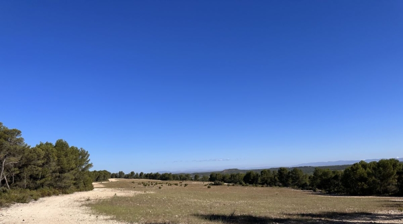 Valencia - Requena - 561m2