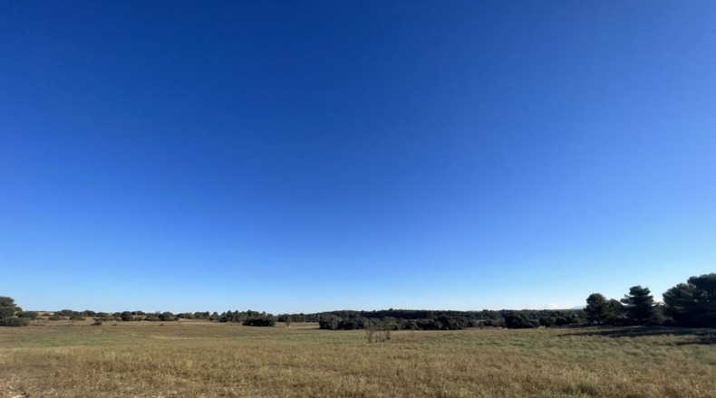 Valencia - Requena - 561m2