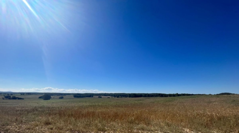 Valencia - Requena - 561m2