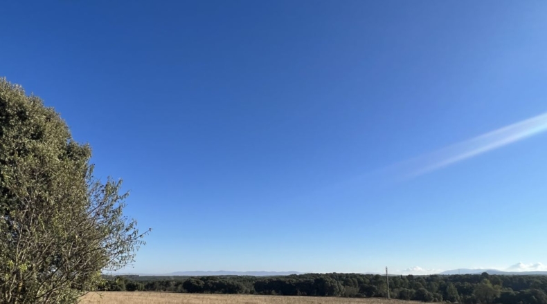 Valencia - Requena - 561m2
