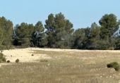 Casa de pueblo en venta en Requena ref: TR381330 foto