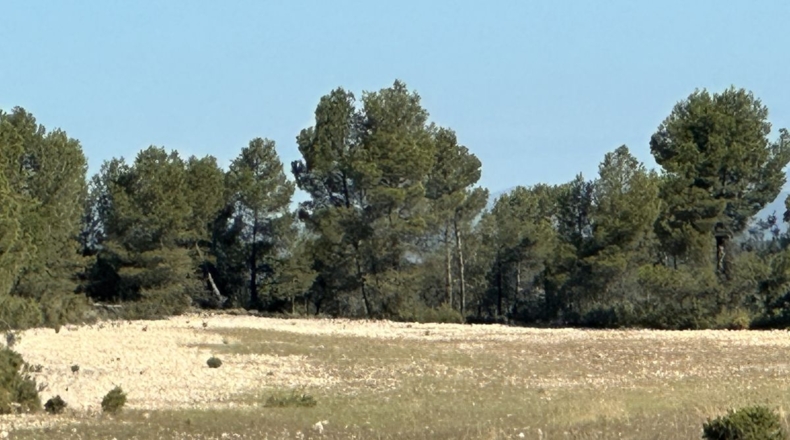 Valencia - Requena - 561m2