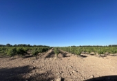 Casa de pueblo en venta en Requena ref: TR381330 foto