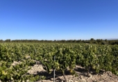 Casa de pueblo en venta en Requena ref: TR381330 foto