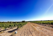 Casa de pueblo en venta en Requena ref: TR381330 foto