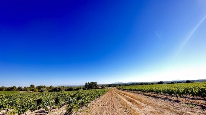 Valencia - Requena - 561m2
