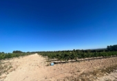 Casa de pueblo en venta en Requena ref: TR381330 foto