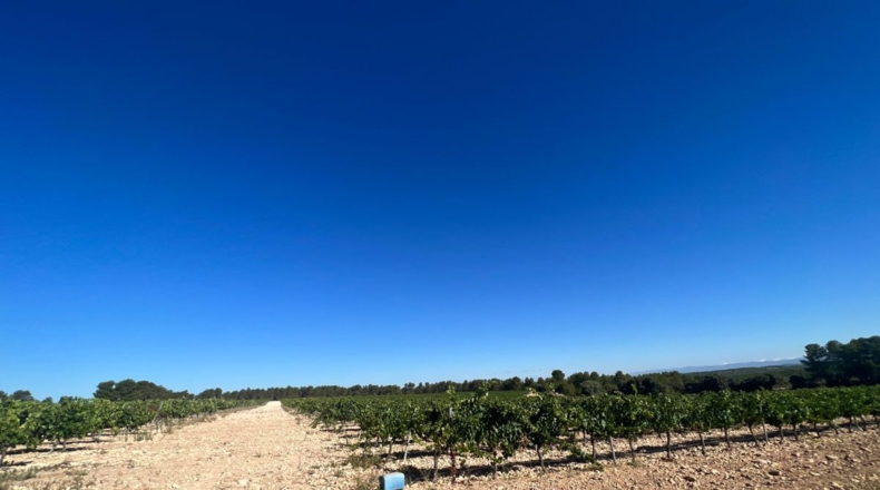 Valencia - Requena - 561m2