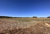 Casa de pueblo en venta en Requena ref: TR381330 foto