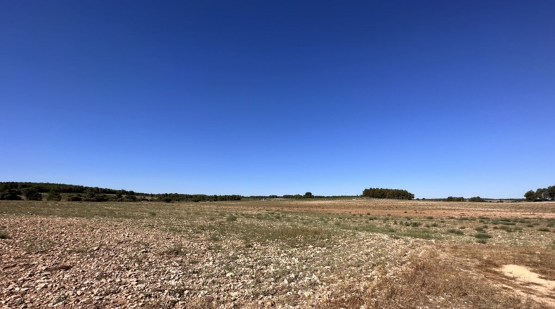 Valencia - Requena - 561m2