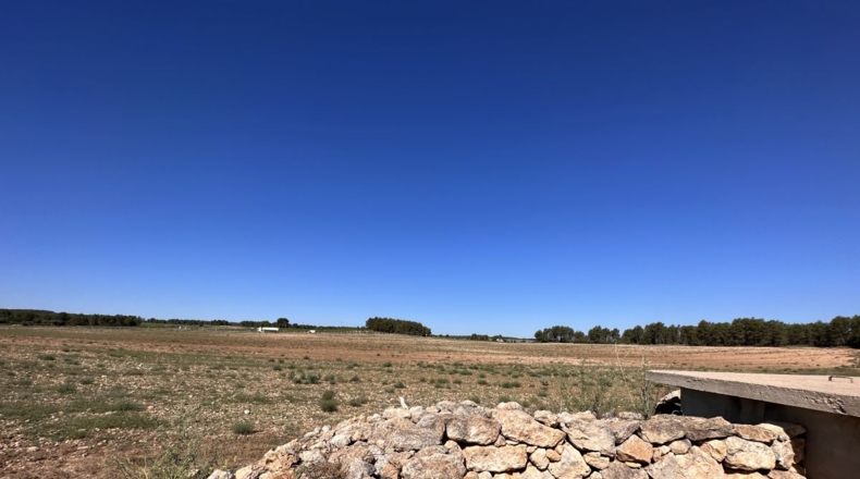 Valencia - Requena - 561m2