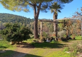 Finca rústica en venda a la España, Posadas, ref.: TR262566 foto