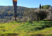 Finca rústica en venda a la España, Posadas, ref.: TR262566 foto
