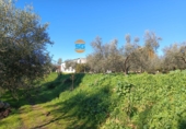 Finca rústica en venda a la España, Posadas, ref.: TR262566 foto