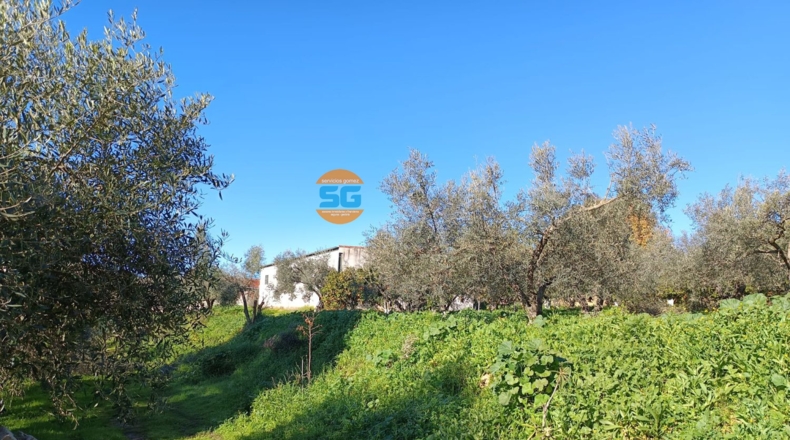 Córdoba - Posadas - 18500m2
