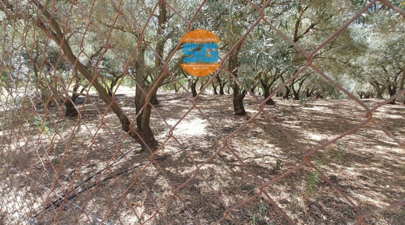 Córdoba - Posadas - 6700m2