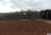 Finca rústica en venta en la España, Posadas, ref: TR276606 foto