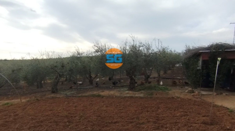 Córdoba - Posadas - 10975m2