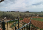 Finca rústica en venta en la España, Posadas, ref: TR276606 foto