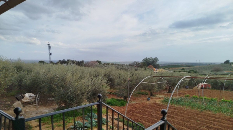 Córdoba - Posadas - 10975m2