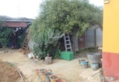 Finca rústica en venta en la España, Posadas, ref: TR276606 foto