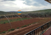 Finca rústica en venta en la España, Posadas, ref: TR276606 foto
