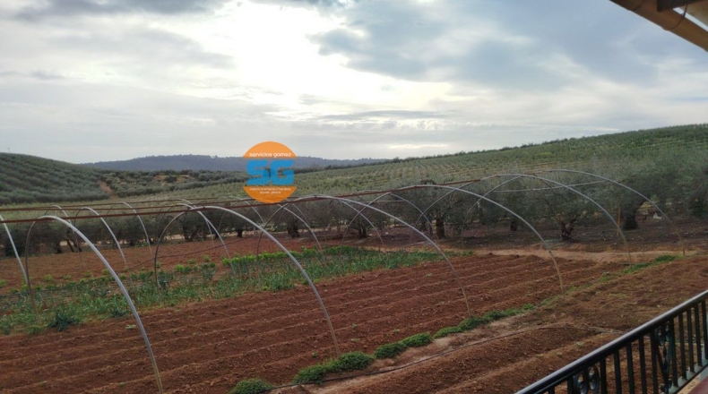 Córdoba - Posadas - 10975m2