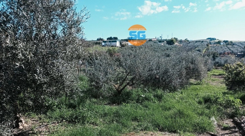 Córdoba - Posadas - 12220m2