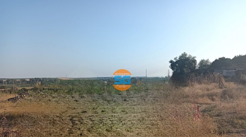 Cordova - Posadas - 2713m2