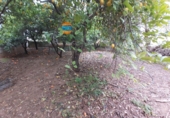 Sòl urbà en venda a Posadas ref.: TR308179 foto