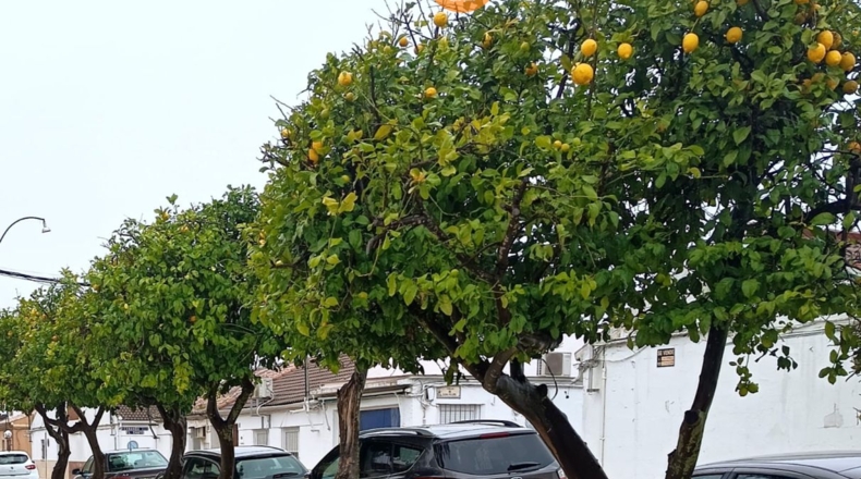 Córdoba - Posadas - 94m2