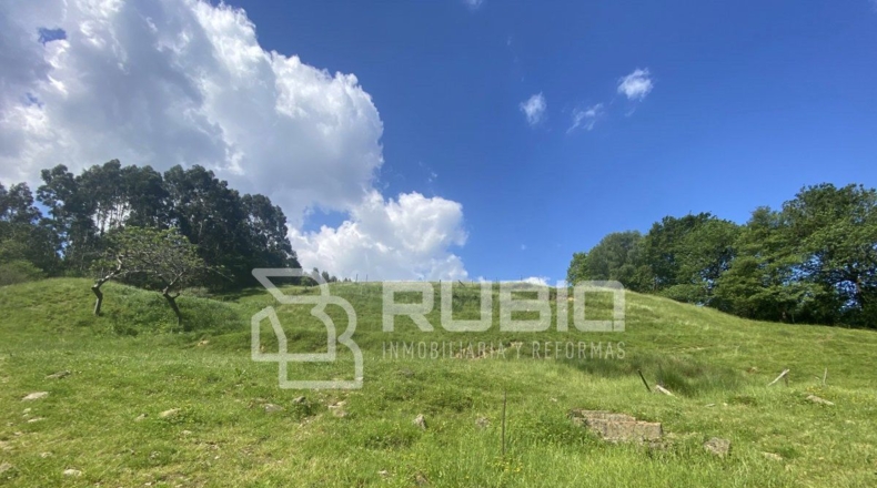 Cantabria - Hazas - 60000m2