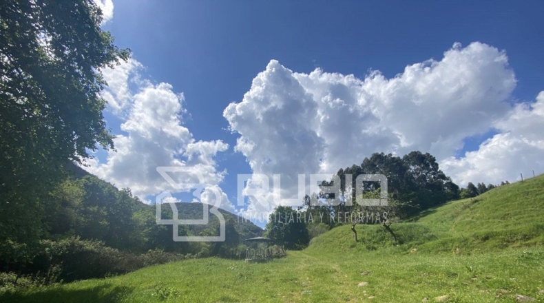 Cantabria - Hazas - 60000m2