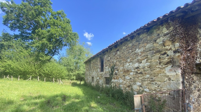 Cantabria - Hazas - 60000m2