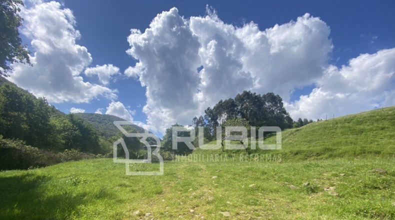 Cantabria - Hazas - 60000m2