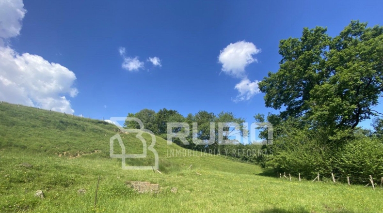 Cantabria - Hazas - 60000m2