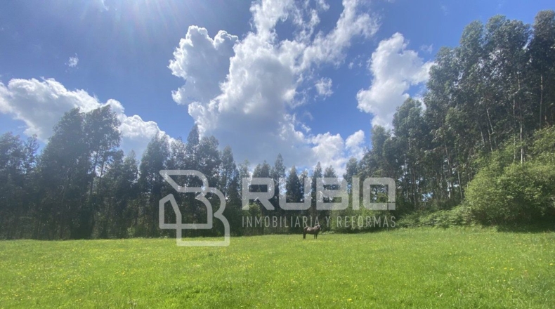 Cantabria - Hazas - 60000m2
