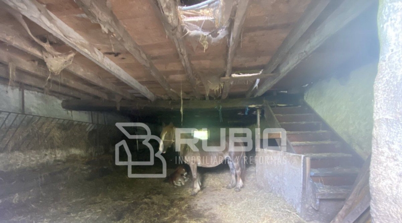 Cantabria - Hazas - 60000m2